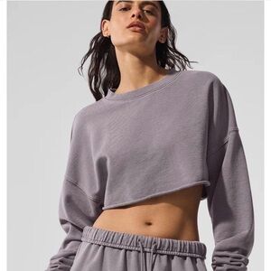 ALO Yoga Women's Gray Crop Top